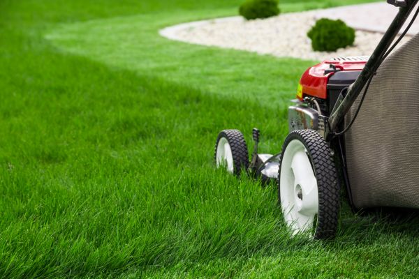 Cost of Lawn Cutting Service in Navarre