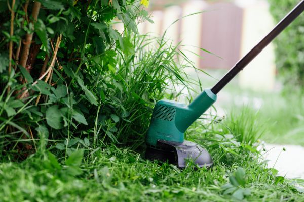 Cost of Weed Whacking in Navarre