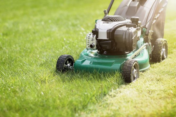 Cost of Yard Cutting in Navarre