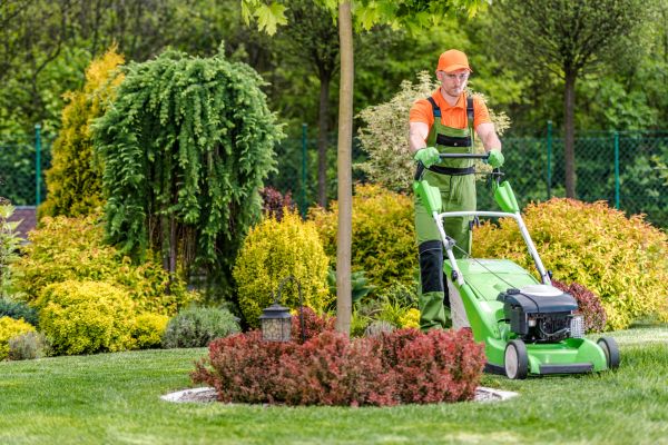 Cost of Yard Service in Navarre