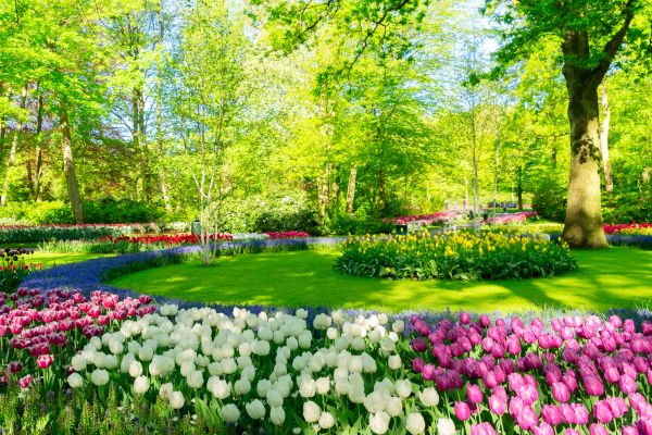 Cost of Spring Lawn Care in Navarre