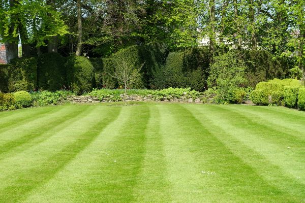 Cost of Grass Care Service in Navarre