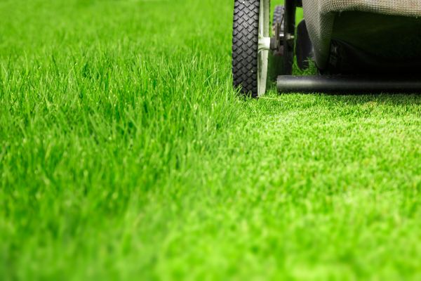 Cost of Weekly Lawn Care in Navarre
