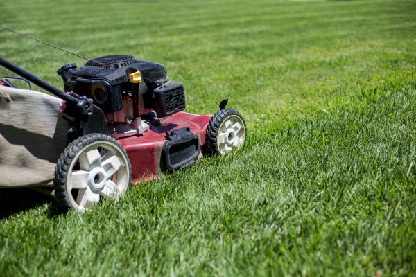 Cost of Routine Lawn Care in Navarre