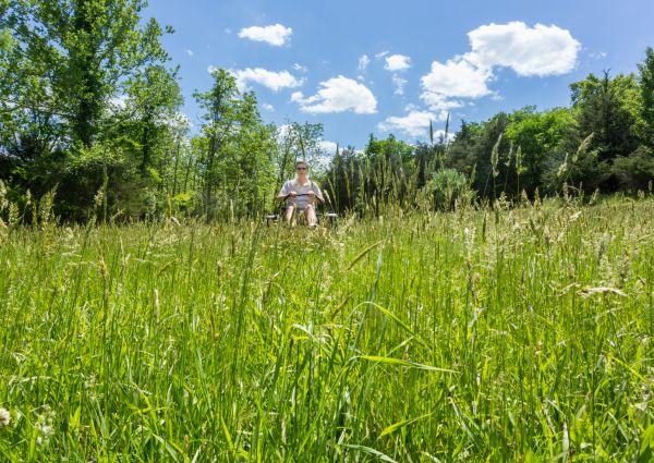 Cost of Long Grass Mowing in Navarre