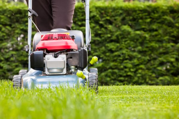 Cost of Grass Trimming Service in Navarre