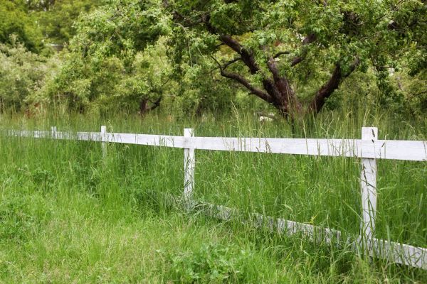 Cost of Fence Line Trimming in Navarre