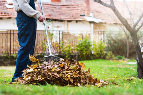 Cost of Routine Lawn Maintenance in Navarre