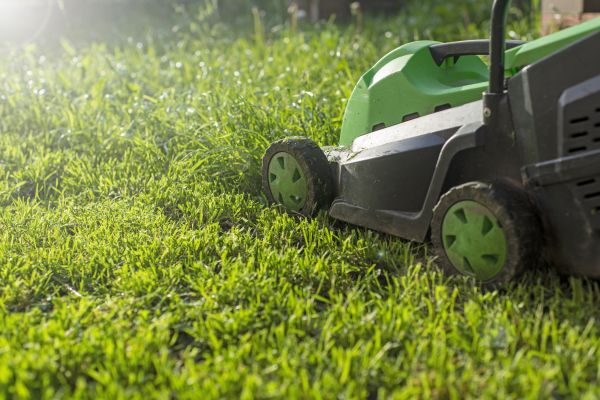 Cost of Lot Mowing in Navarre
