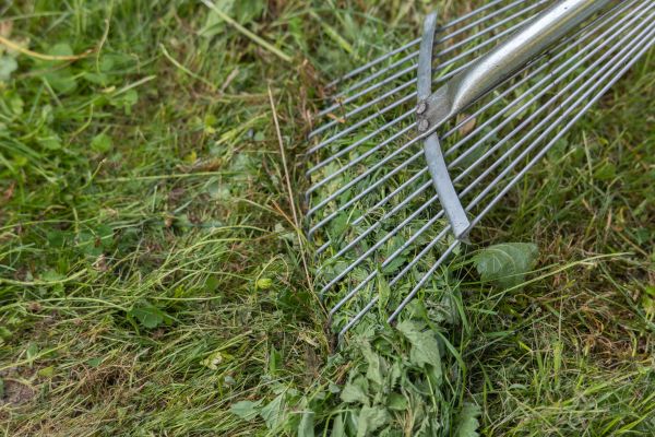 Cost of Thatch Raking in Navarre