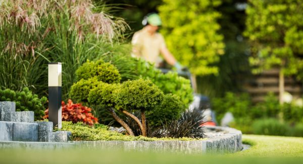 Cost of Residential Yard Maintenance in Navarre