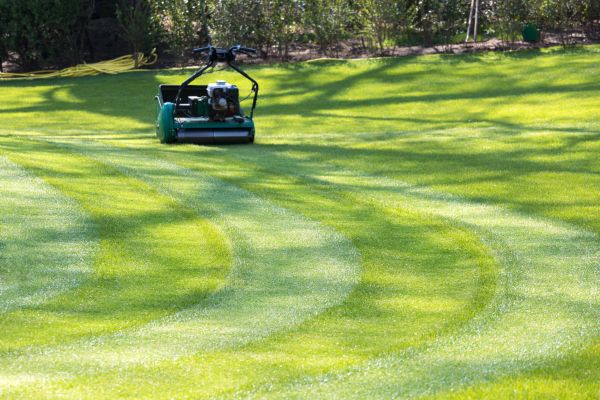 Cost of Business Lawn Mowing in Navarre