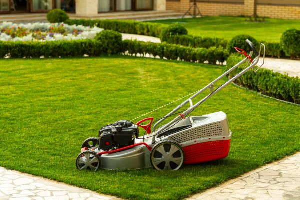 Cost of Business Grass Cutting in Navarre