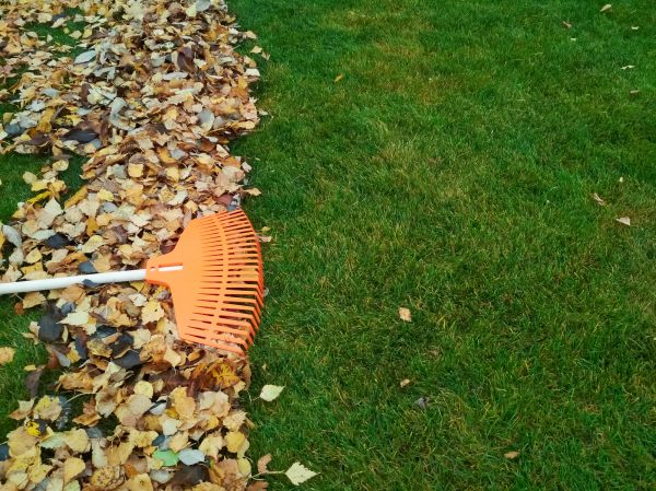 Cost of Fall Lawn Care in Navarre