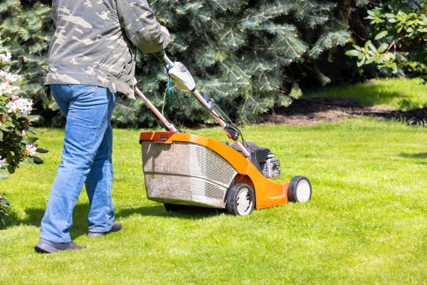 Cost of Springtime Lawn Care in Navarre