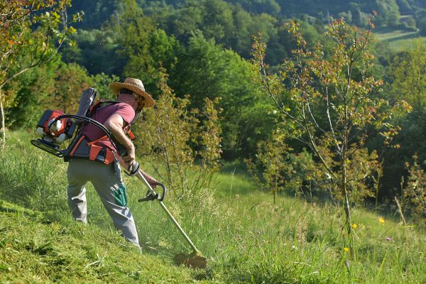 Cost of Slope Mowing in Navarre