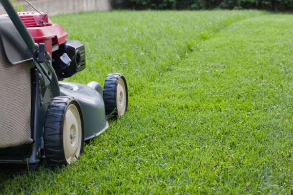 Cost of Spring Lawn Maintenance in Navarre
