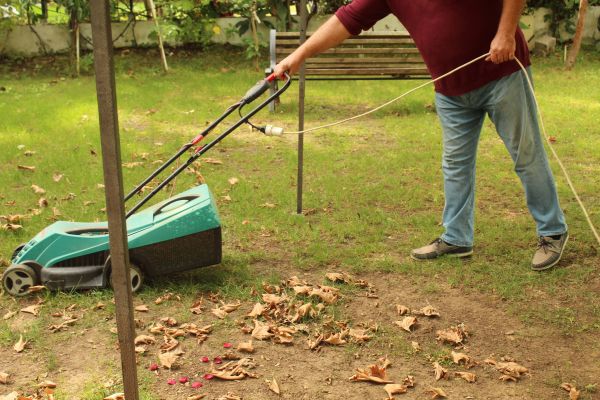 Cost of Leaves Mowing in Navarre