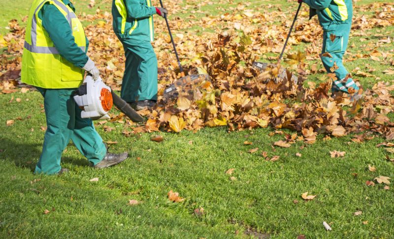 Leaf Blowing Technique