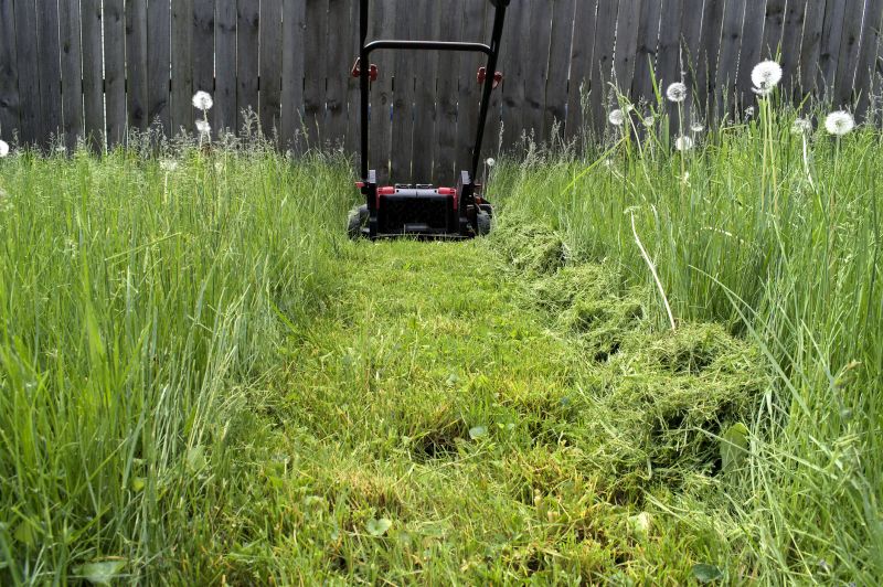Yard Mowing detail